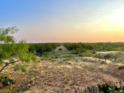 325.20 Acres, Runnels County, Texas (32)