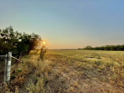 325.20 Acres, Runnels County, Texas (31)