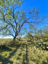 325.20 Acres, Runnels County, Texas (12)