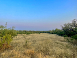 325.20 Acres, Runnels County, Texas (33)