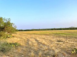 325.20 Acres, Runnels County, Texas (28)
