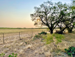 325.20 Acres, Runnels County, Texas (29)