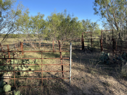 325.20 Acres, Runnels County, Texas (35)