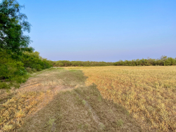 325.20 Acres, Runnels County, Texas (30)