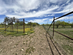 1821 Ranch Road 864 (22)