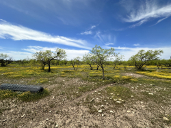 1821 Ranch Road 864 (24)