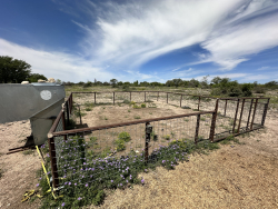 1821 Ranch Road 864 (19)