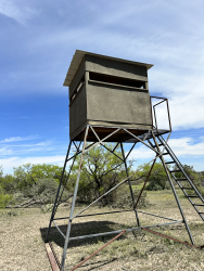 1821 Ranch Road 864 (51)