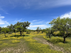 1821 Ranch Road 864 (6)
