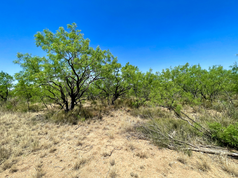 6095 N FM 1692